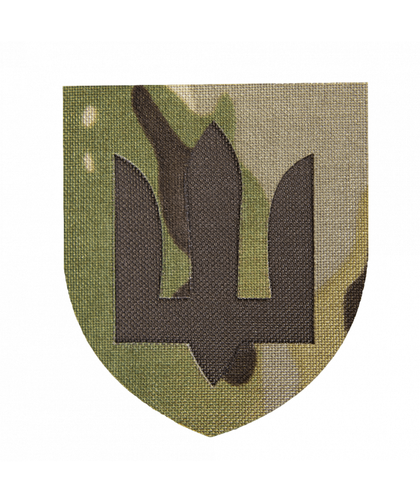 Шеврон Camotec ЗСУ Сухопутні війська (7*8)